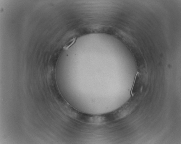 X0000062840225200601272024