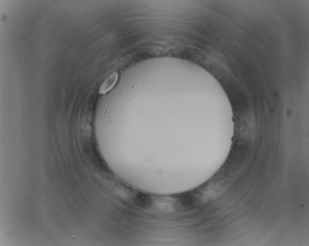 X0000062840226200601272024