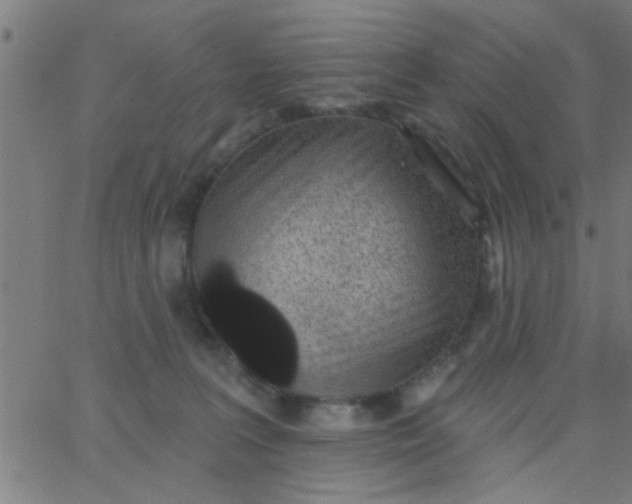 X0000062840227200601272024