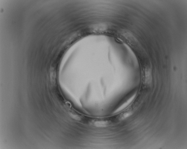 X0000062840228200601272024