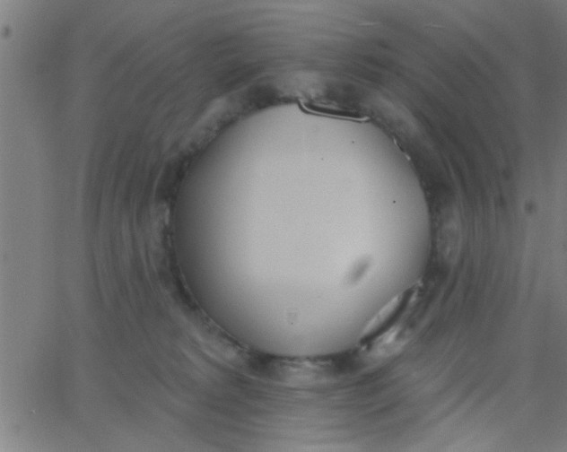 X0000062840229200601272024