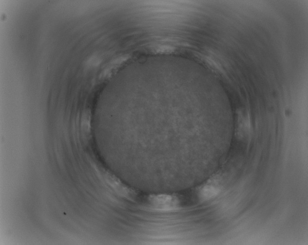 X0000062840230200601272024