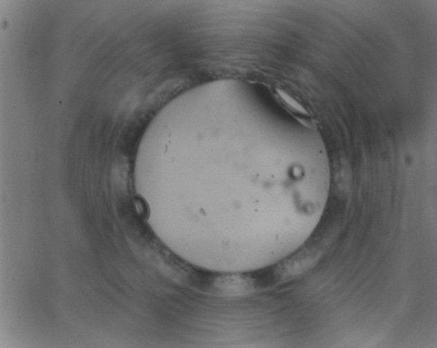 X0000062840231200601272024