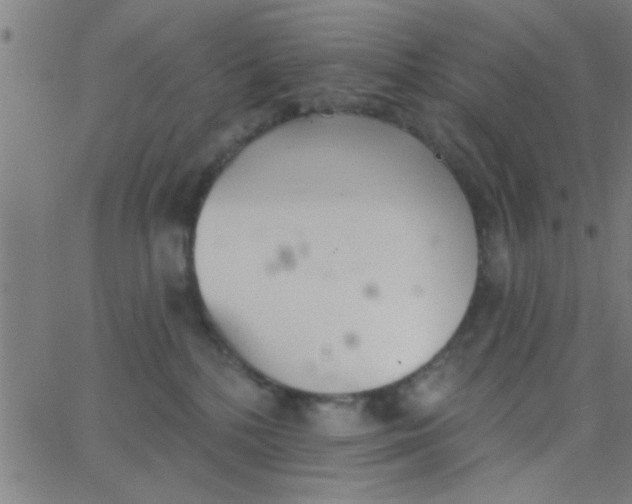 X0000062840232200601272024