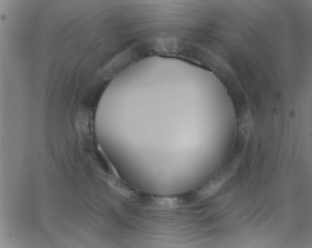 X0000062840233200601272024