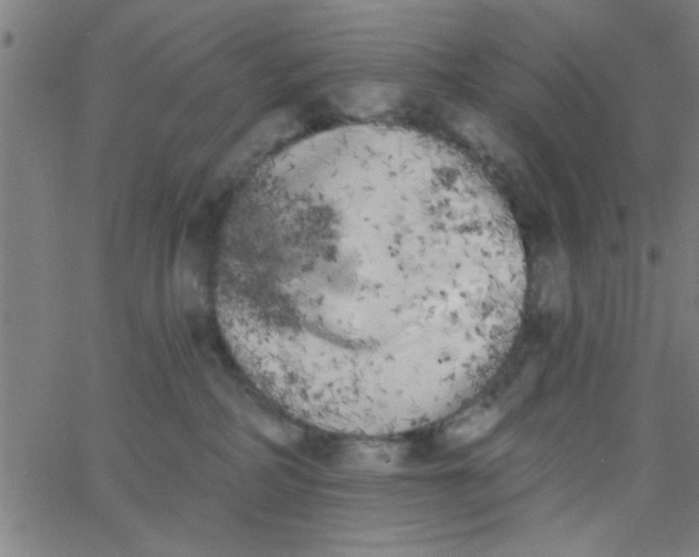 X0000062840234200601272024