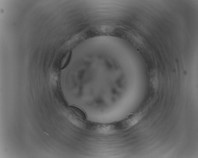 X0000062840235200601272024