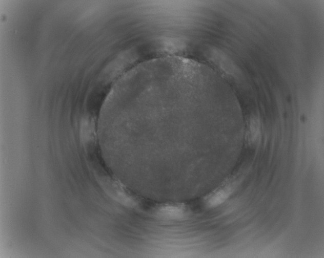 X0000062840236200601272024