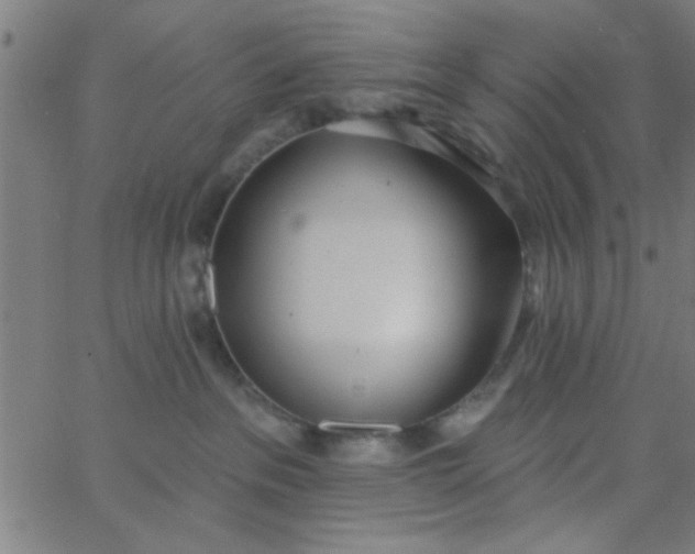 X0000062840237200601272024