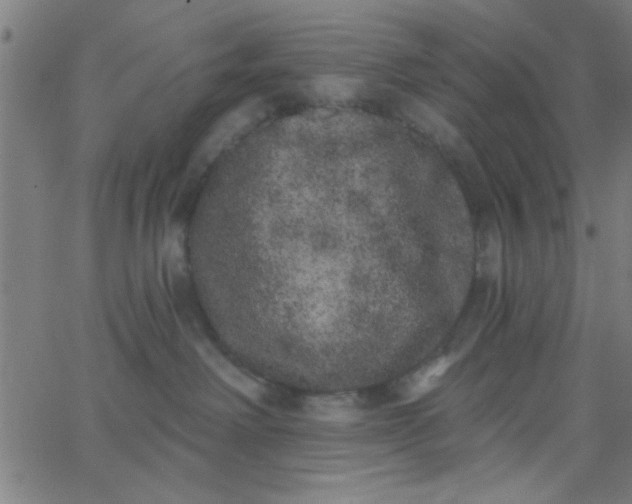 X0000062840238200601272024