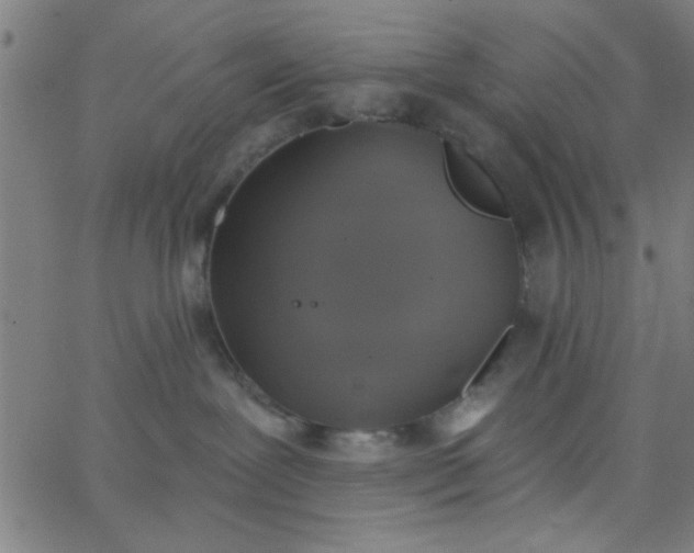 X0000062840239200601272024