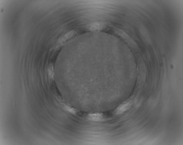 X0000062840240200601272024