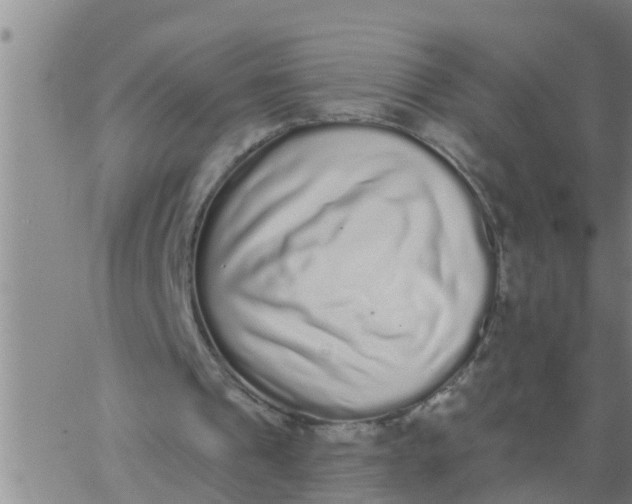 X0000062840241200601272023