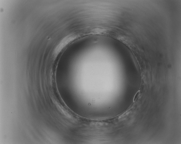 X0000062840242200601272023