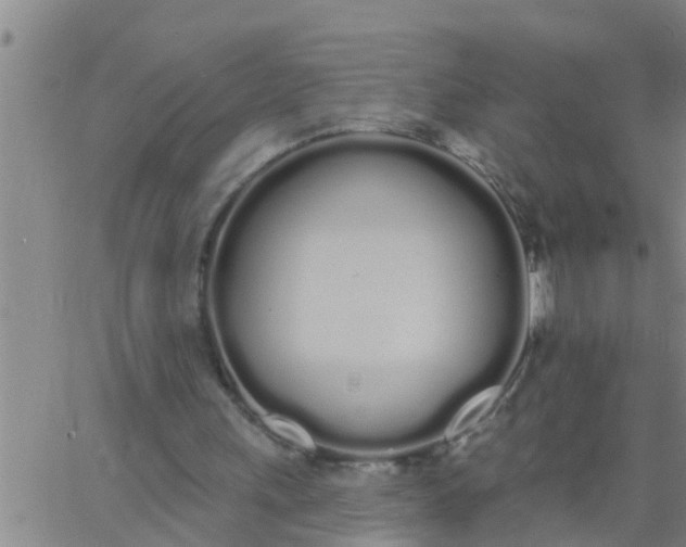 X0000062840243200601272023