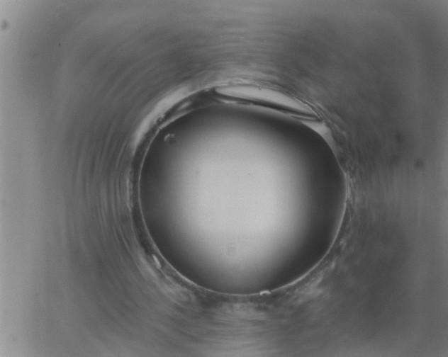 X0000062840244200601272023