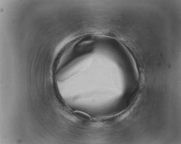 X0000062840246200601272023