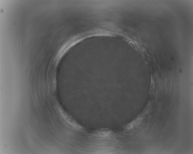 X0000062840247200601272023