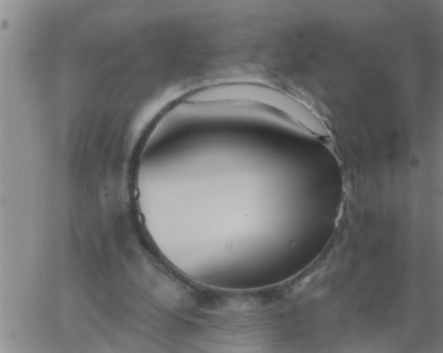 X0000062840248200601272023