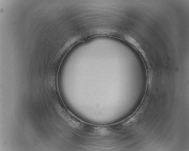 X0000062840249200601272023