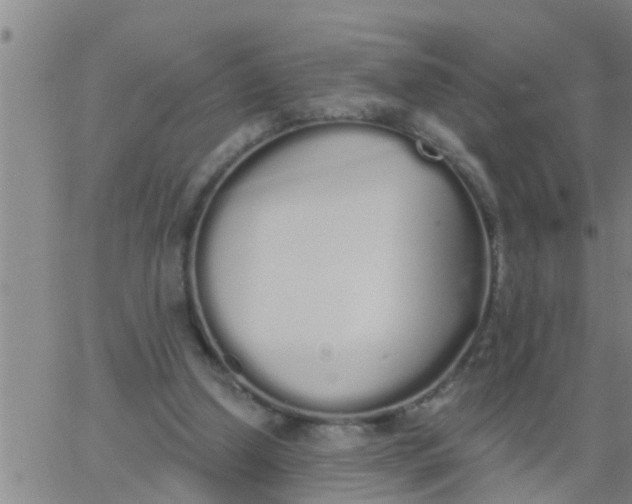 X0000062840250200601272023