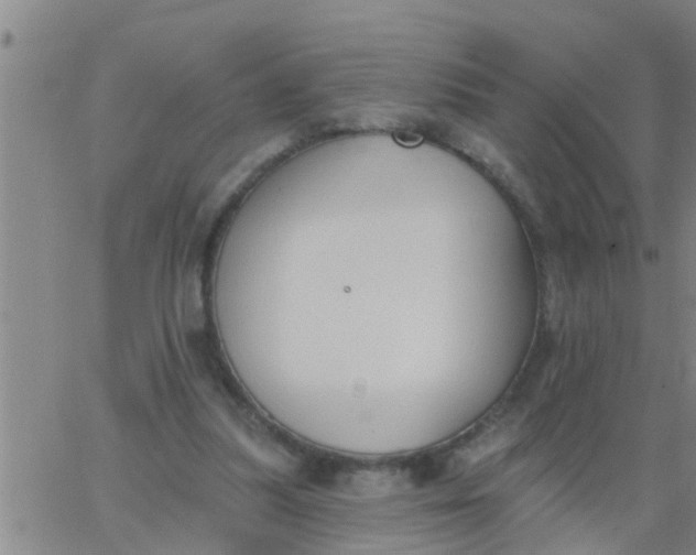 X0000062840251200601272023