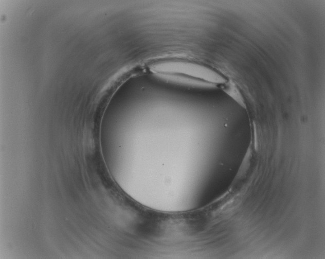 X0000062840252200601272023