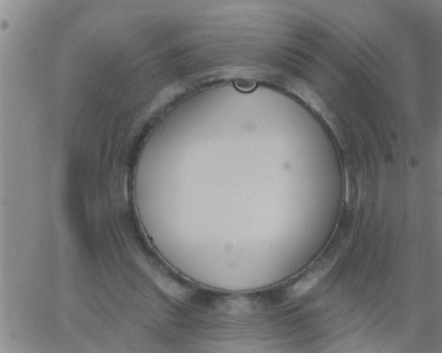 X0000062840253200601272023