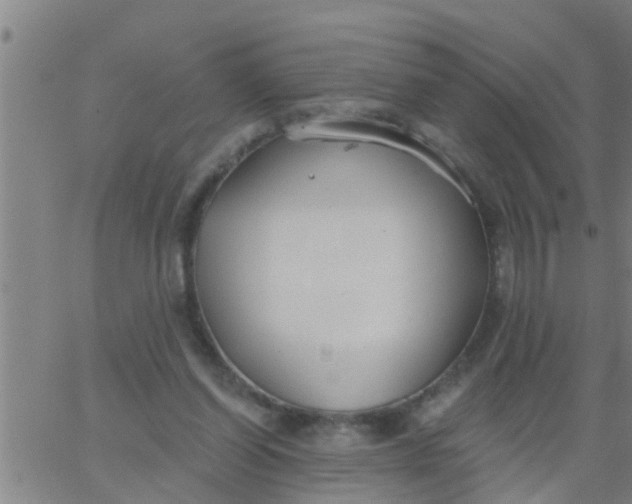 X0000062840254200601272023