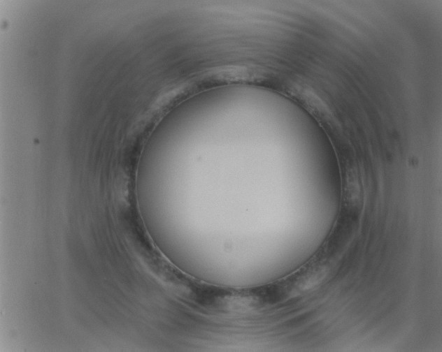 X0000062840255200601272023