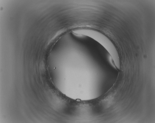 X0000062840256200601272023