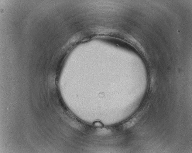 X0000062840257200601272023