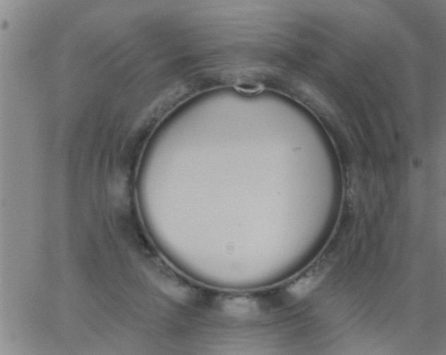 X0000062840258200601272023