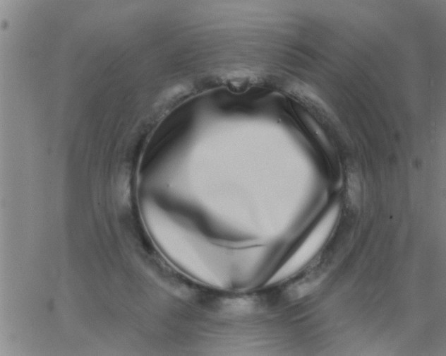 X0000062840259200601272023