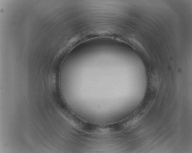 X0000062840260200601272023