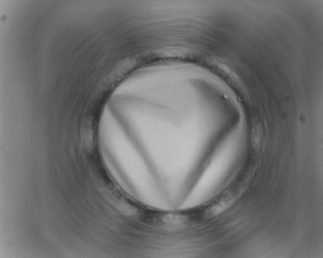 X0000062840261200601272023