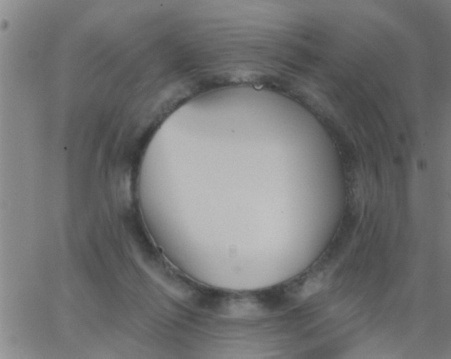 X0000062840262200601272023