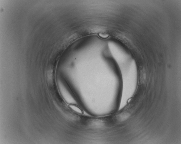 X0000062840263200601272023