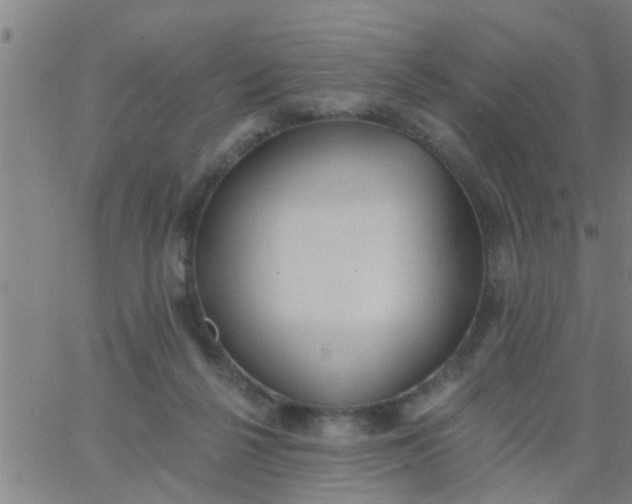 X0000062840264200601272023