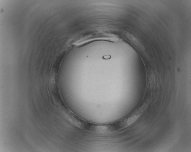 X0000062840265200601272023