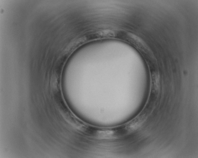 X0000062840266200601272024