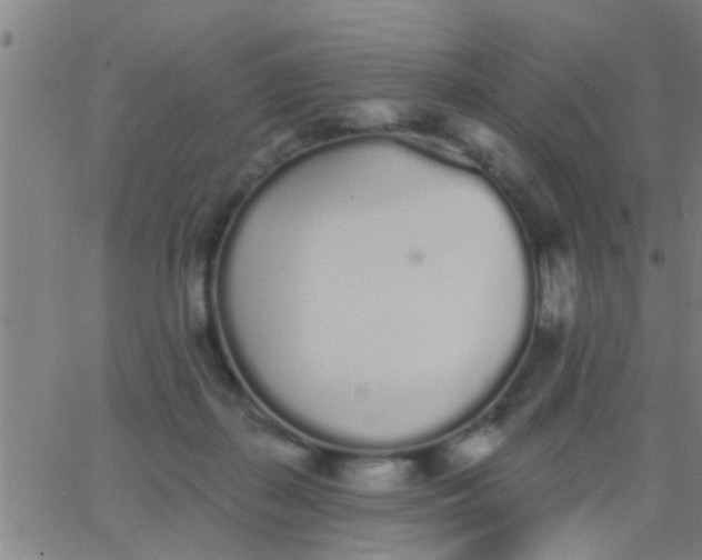 X0000062840267200601272024