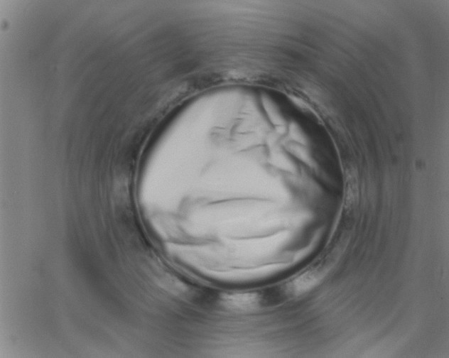 X0000062840269200601272024