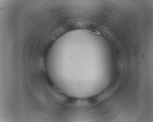 X0000062840270200601272024