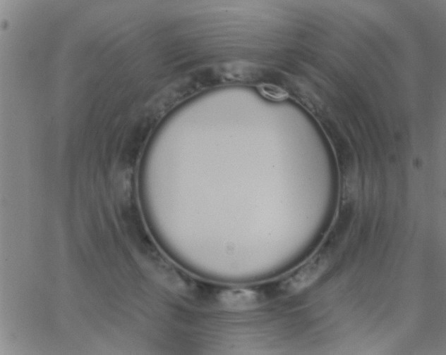 X0000062840271200601272024