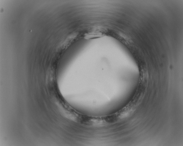 X0000062840272200601272024