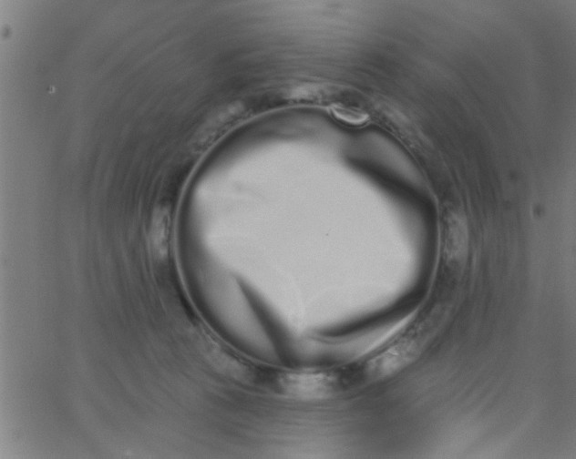 X0000062840273200601272024