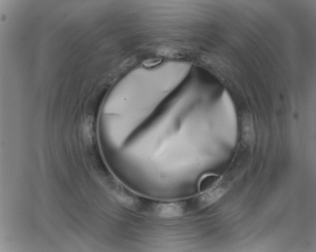 X0000062840275200601272024