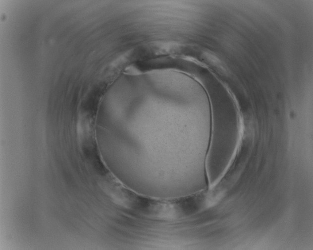 X0000062840276200601272024