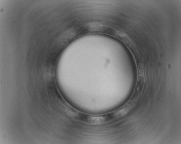 X0000062840277200601272024